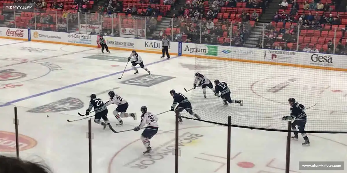 kaiyun.com——🦾拳腿组合,攻防一体!